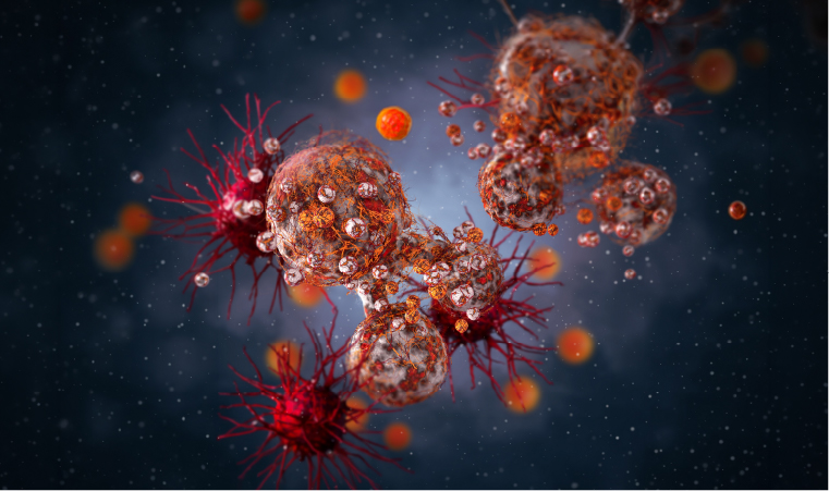 Diplomado de Especializaci&oacute;n en Docencia en Oncolog&iacute;a