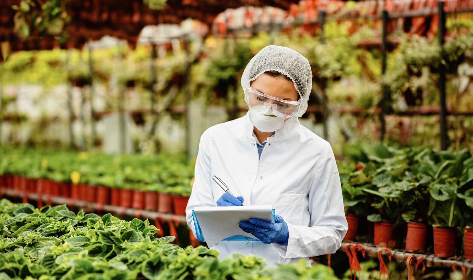 Una Sola Salud: Seguridad Agroalimentaria y Salud Integral