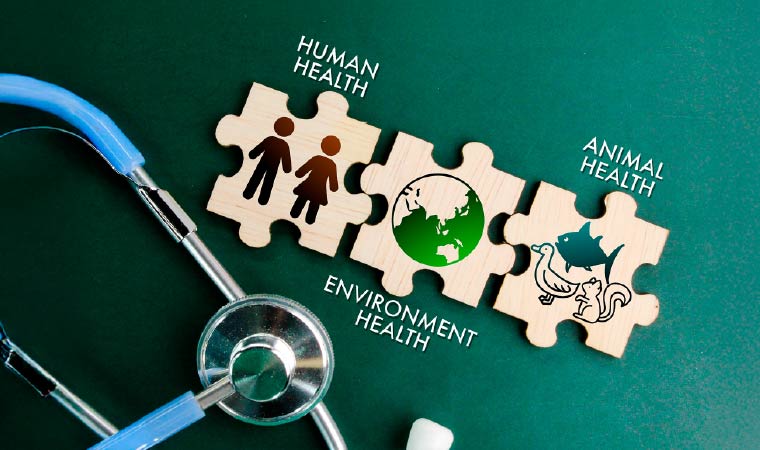 Aplicaciones y prácticas de Una Salud (One health)