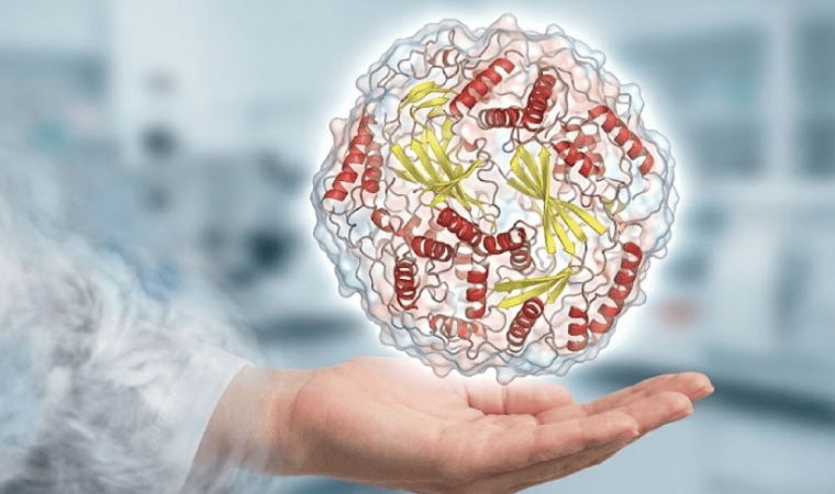 Modelamiento y Simulaciones Moleculares en Biolog&iacute;a
