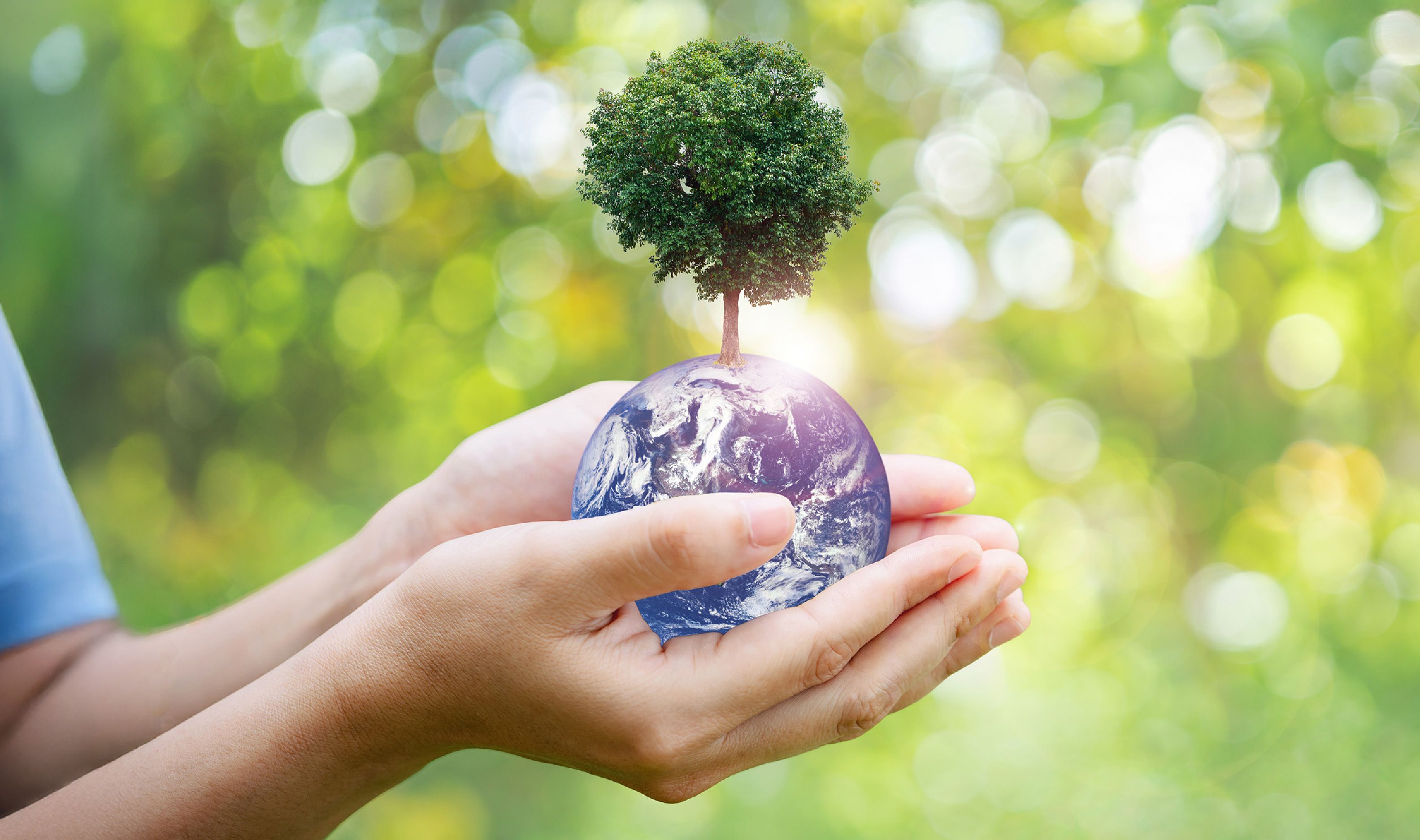 Comunicación y Divulgación de la Química Ambiental: Herramientas para la Sostenibilidad