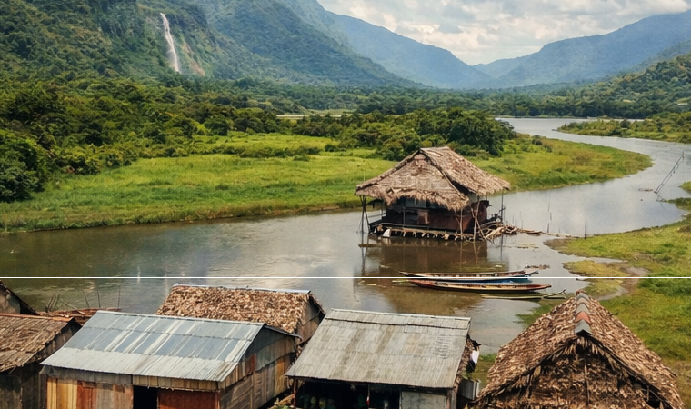 Diplomado de Especializaci&oacute;n de Estrategias de Control de Enfermedades Infecciosas y Tropicales