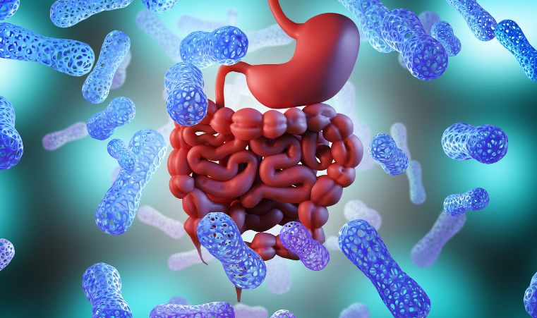Diplomado de Especializaci&oacute;n en Microbiota y Enfermedades Digestivas y Metab&oacute;licas
